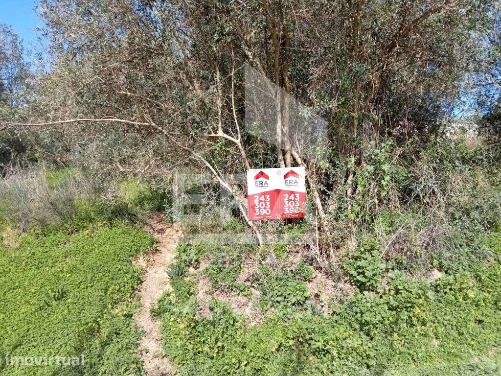 Terreno com 13000 m2 em Santarém