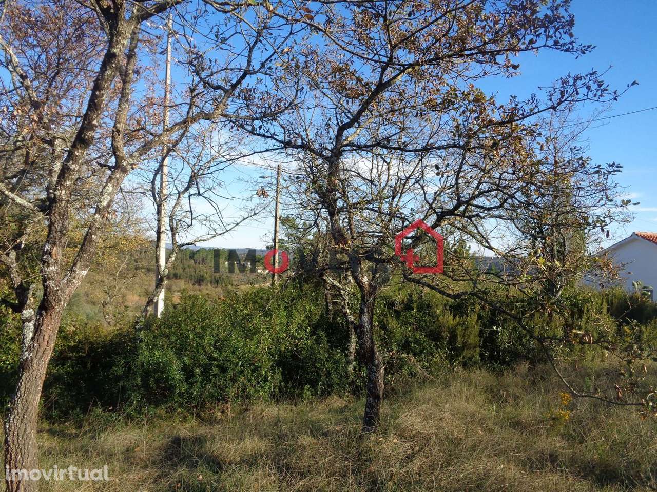 Lote Terreno - Grande imagem: 2/4