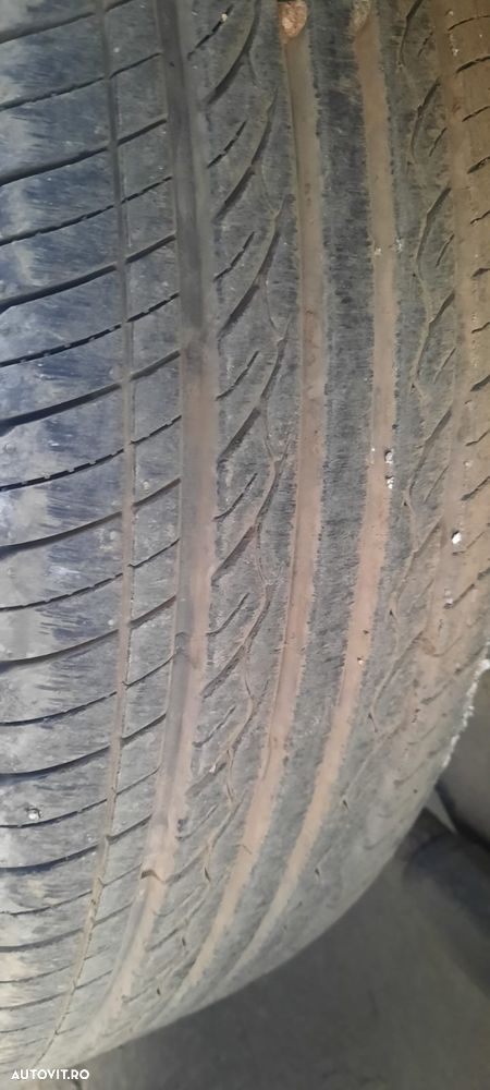 Brenderup Remorcă transport cai sau animale - 7