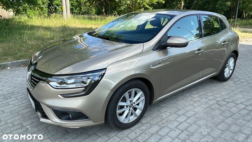 Renault Megane 1.3 TCe FAP Intens - 13