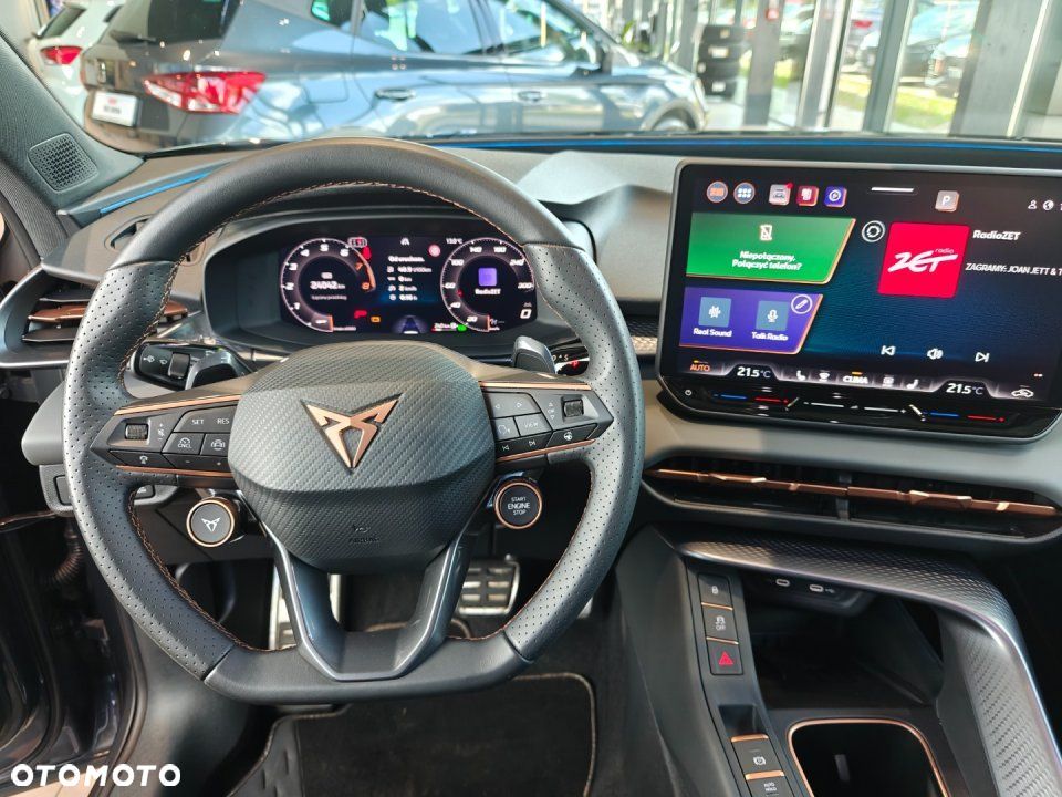 Cupra Terramar - 16