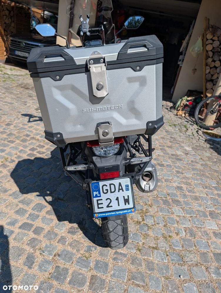 Suzuki DL - 11