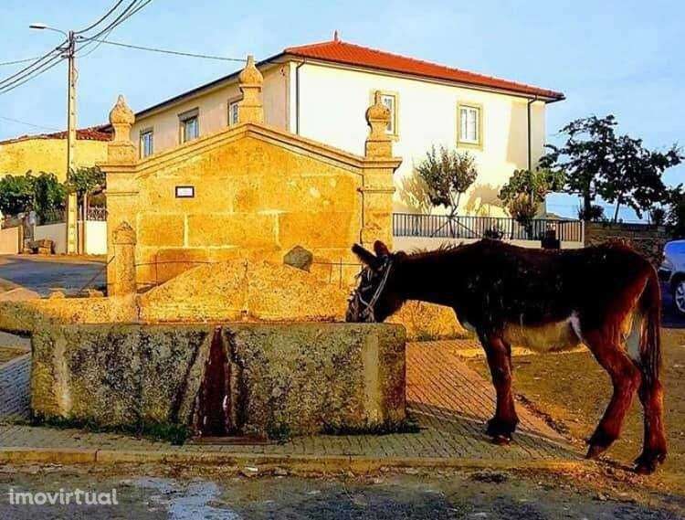 Casa Vivenda para reconstrução - Pinelo, Vimioso, Bragança. - Grande imagem: 5/10