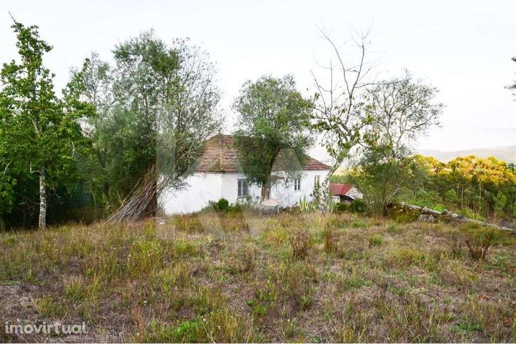 Moradia T3 para recuperar - Grande imagem: 5/10