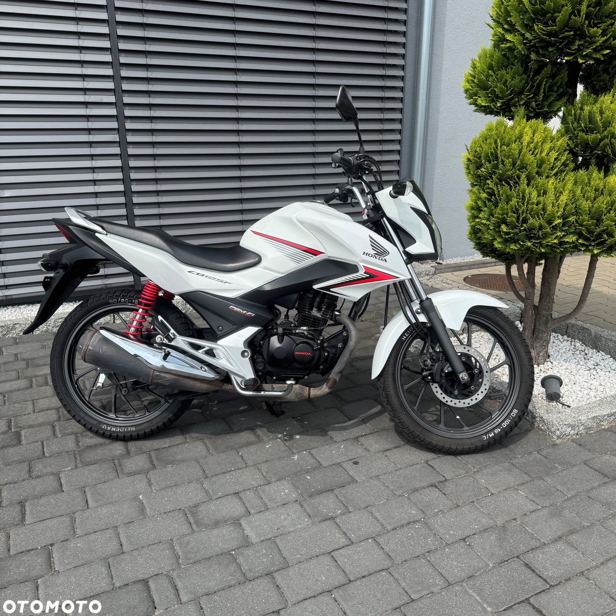 Honda CBF - 2