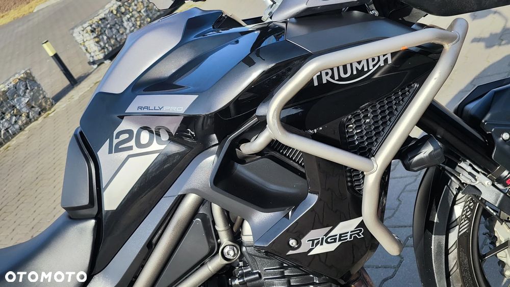 Triumph Tiger - 19
