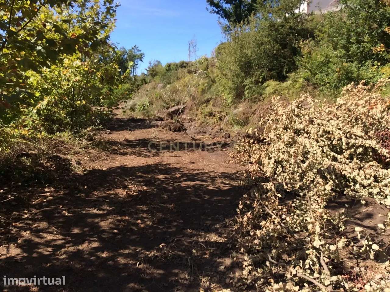 Terreno em Amares com 4.697 m² e 60% de Construção – Vistas Deslumbran - Grande imagem: 5/45
