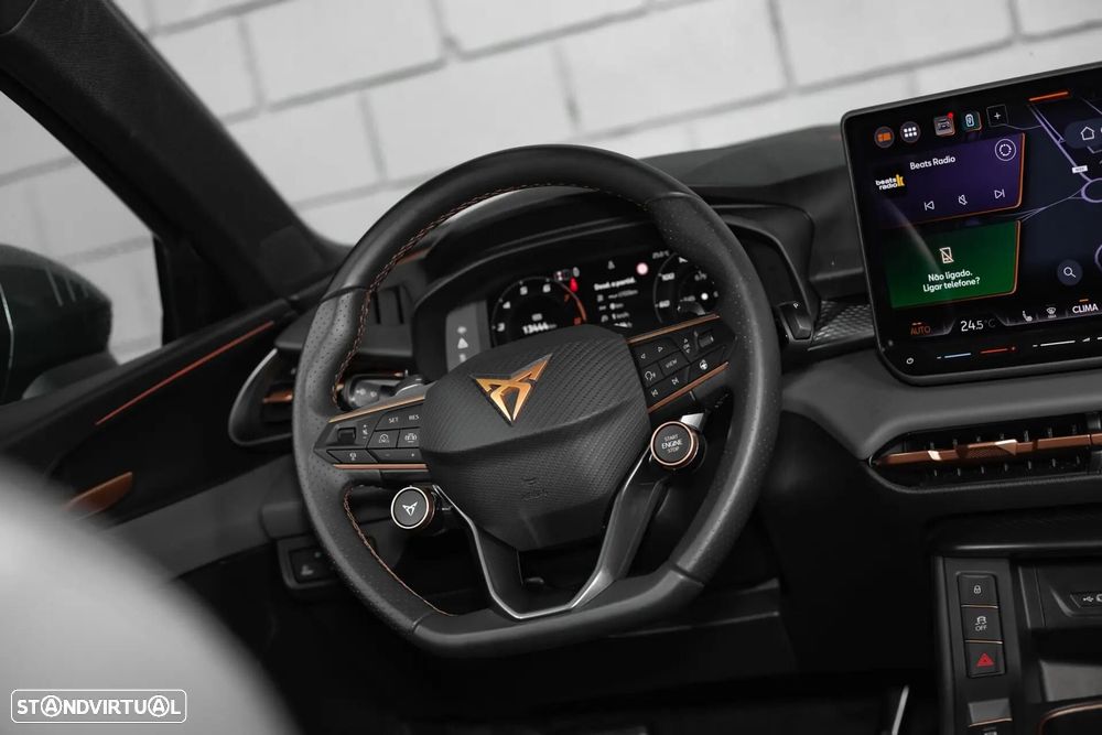 Cupra Terramar - 6