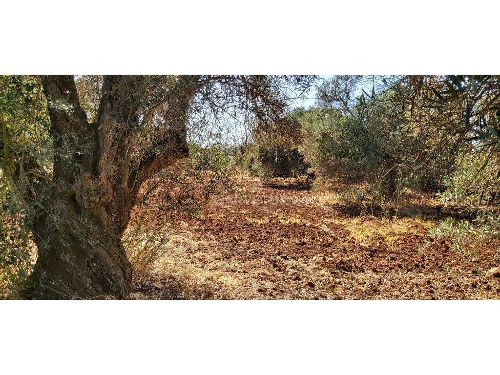 Terreno rústico, em zona agrícola, Ribeira de Alte, Paderne, Albufe... - Grande imagem: 3/24