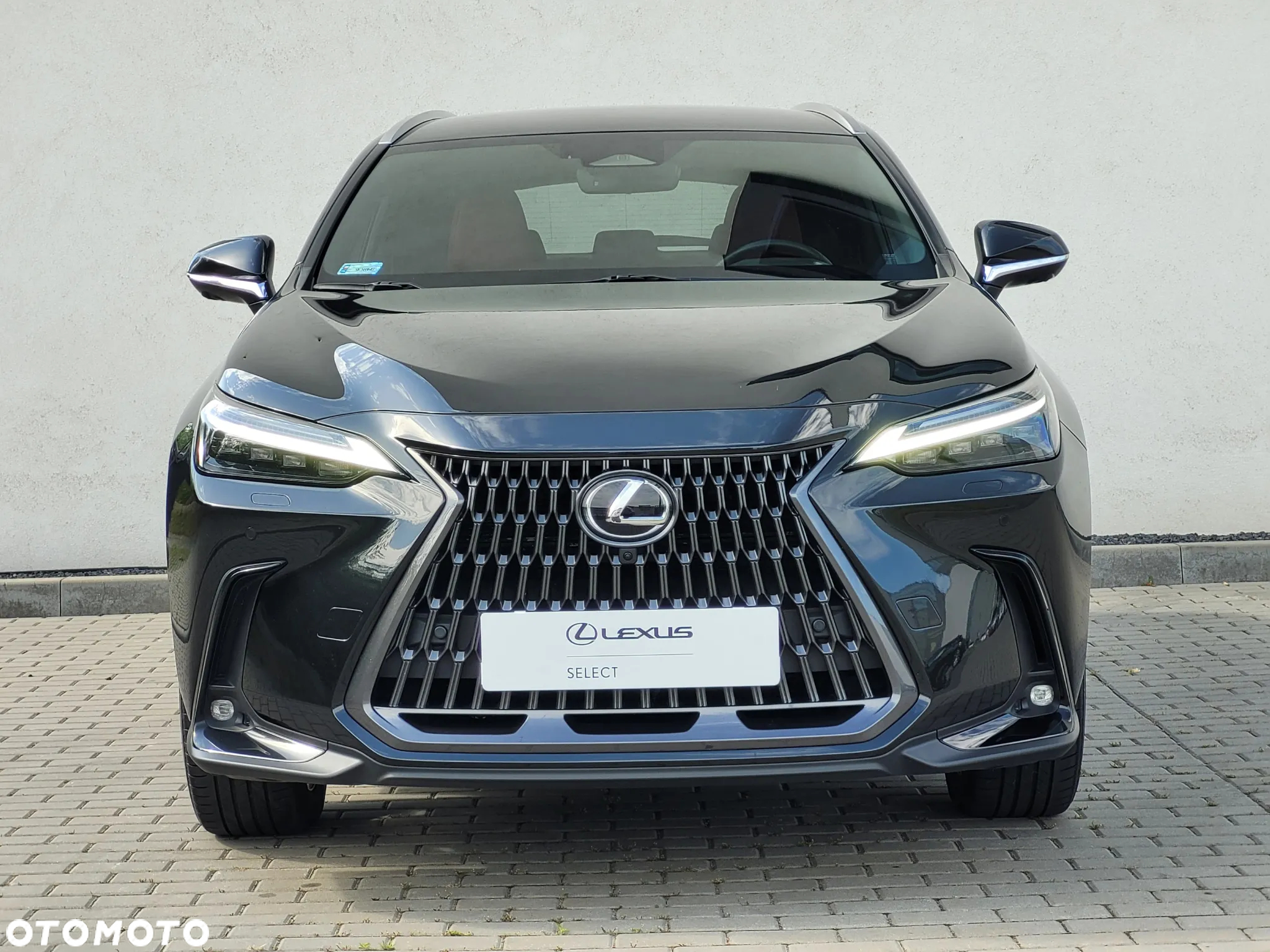 Lexus NX 350h Prestige AWD - 7