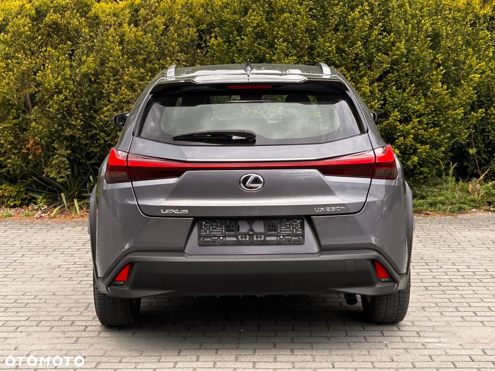 Lexus UX 250h (E-FOUR) Executive Line - 5
