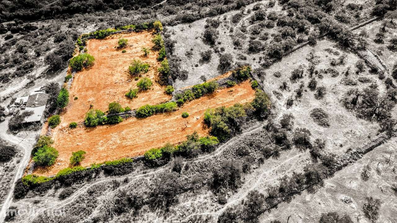 Oportunidade Única: 2 Terrenos Rústicos Próximos de São Brás de Alport - Grande imagem: 4/46