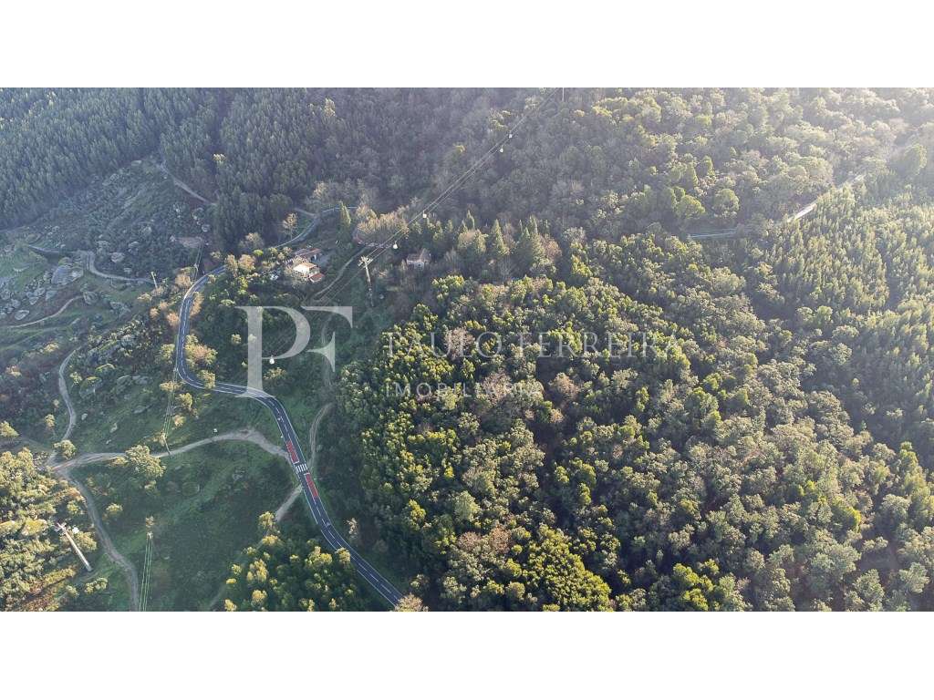 Quinta na Encosta da Penha - Grande imagem: 3/36