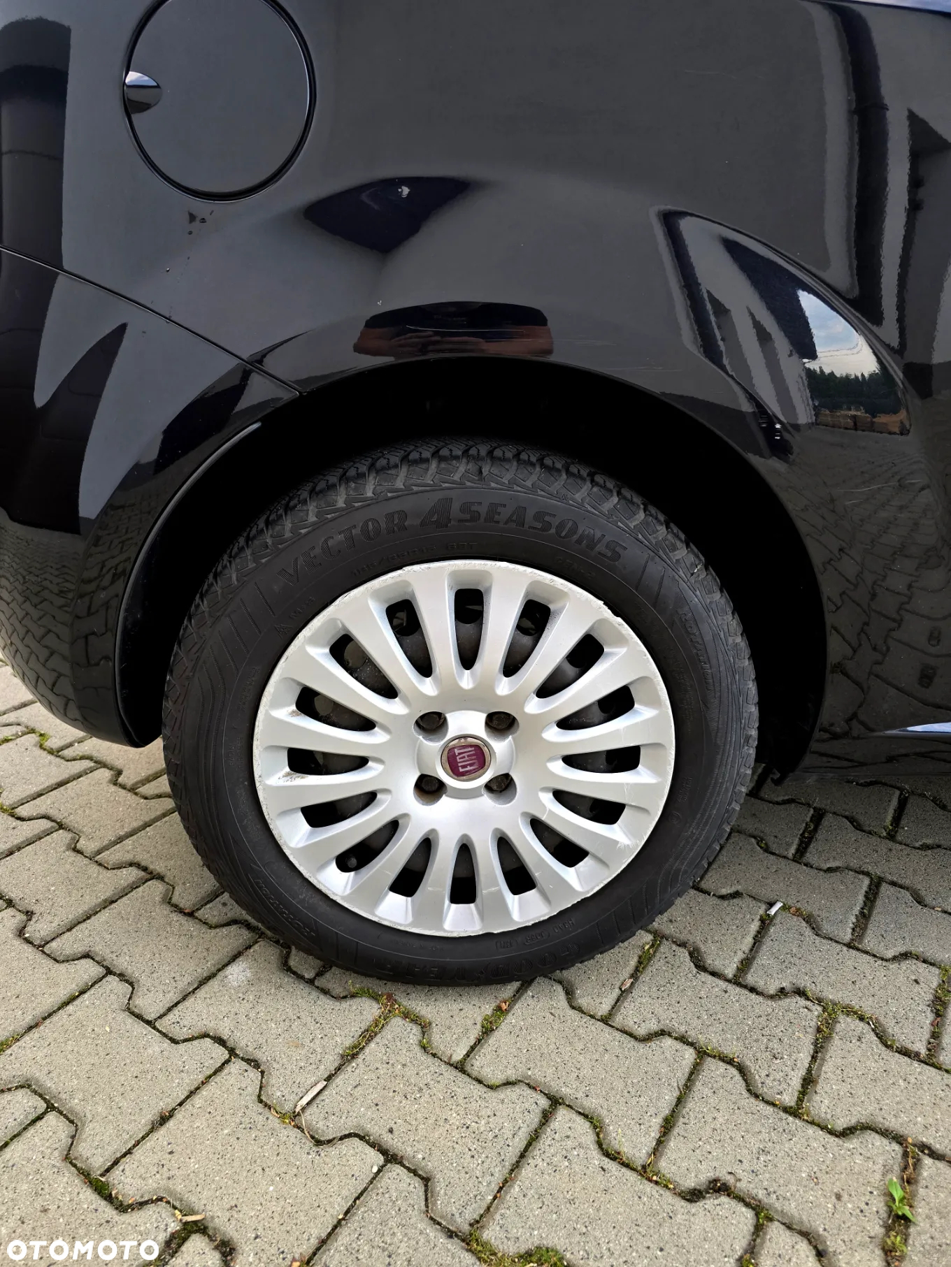 Fiat Punto Evo 1.2 8V Dynamic - 18