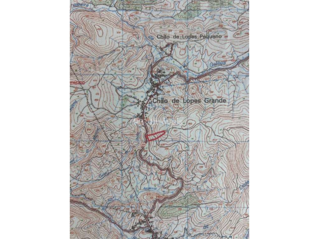 Terreno em Chafariz com Pinhal - Chão de Lopes Grande, Mação - Grande imagem: 3/3