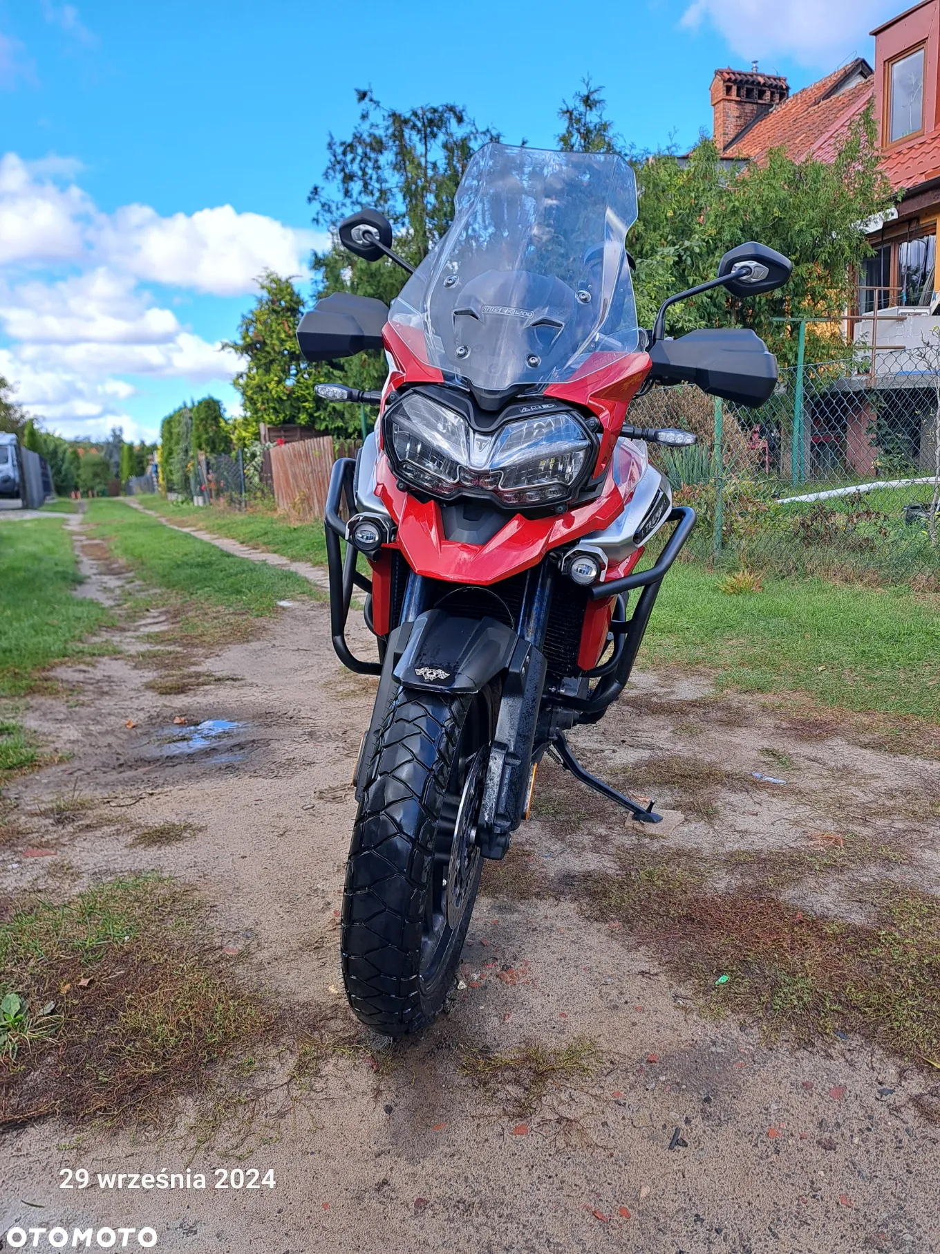 Triumph Tiger - 7