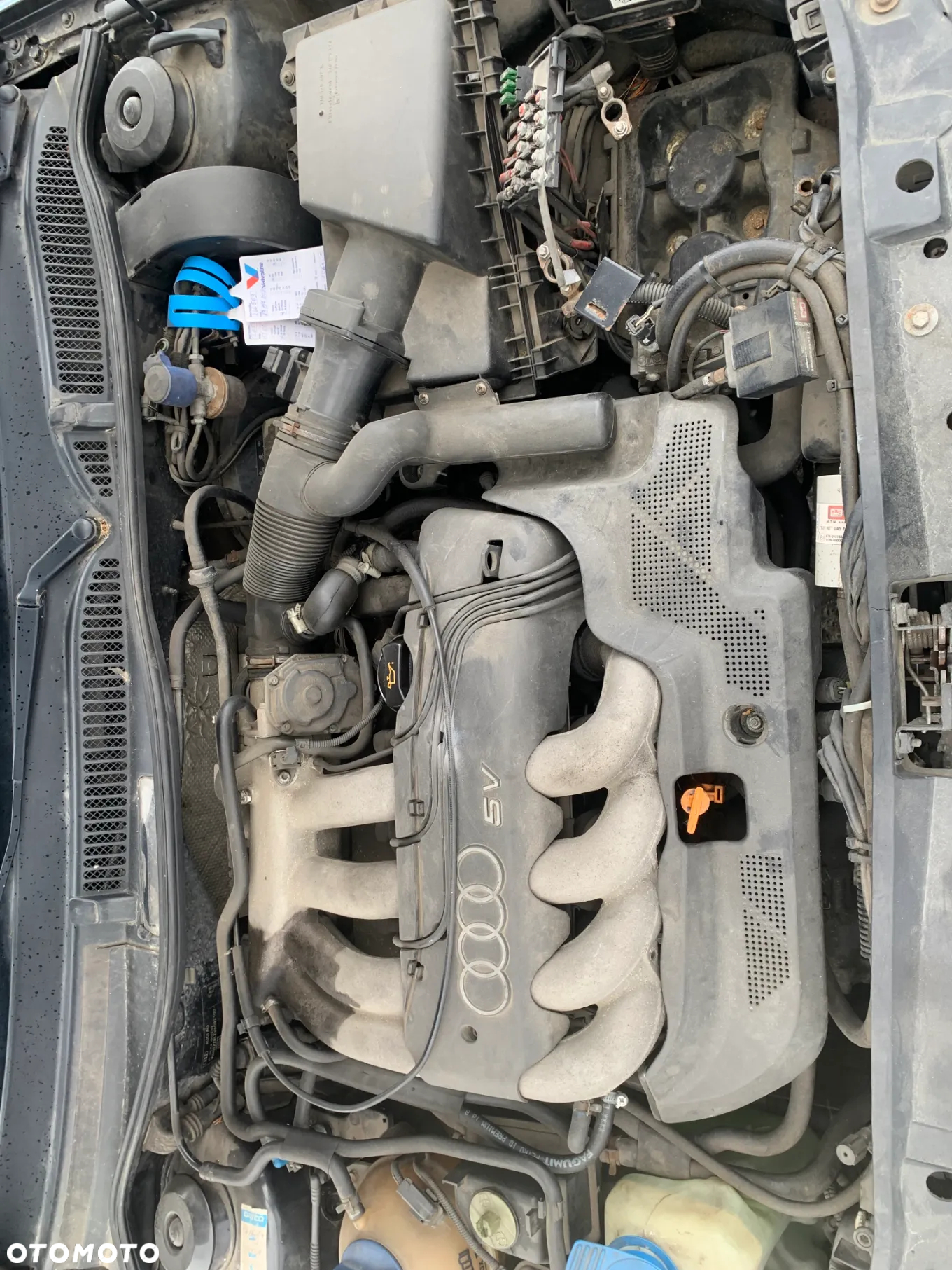 AUDI A3 8L 849 1997 *SAMOCHÓD NA CZĘŚCI* MASKA LAMPA DRZWI LUSTERKO ZDERZAK GRILL BŁOTNIK KLAPA BELKA PRAWE LEWE PRZÓD TYŁ - 5