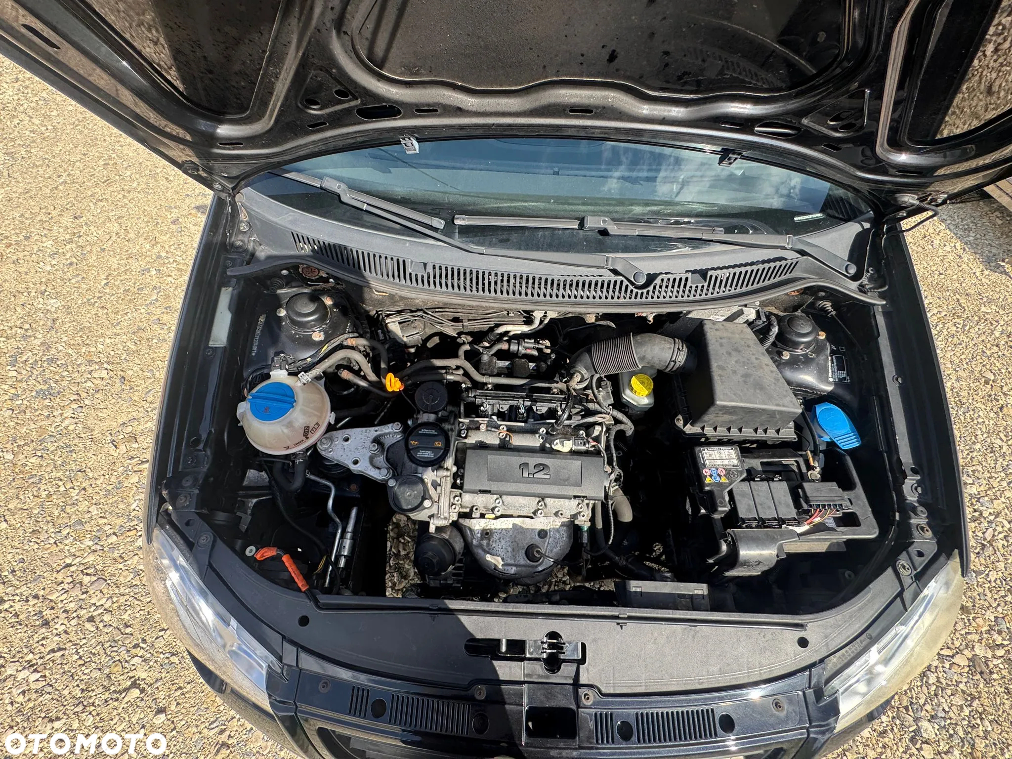 Volkswagen Polo 1.2 United - 21