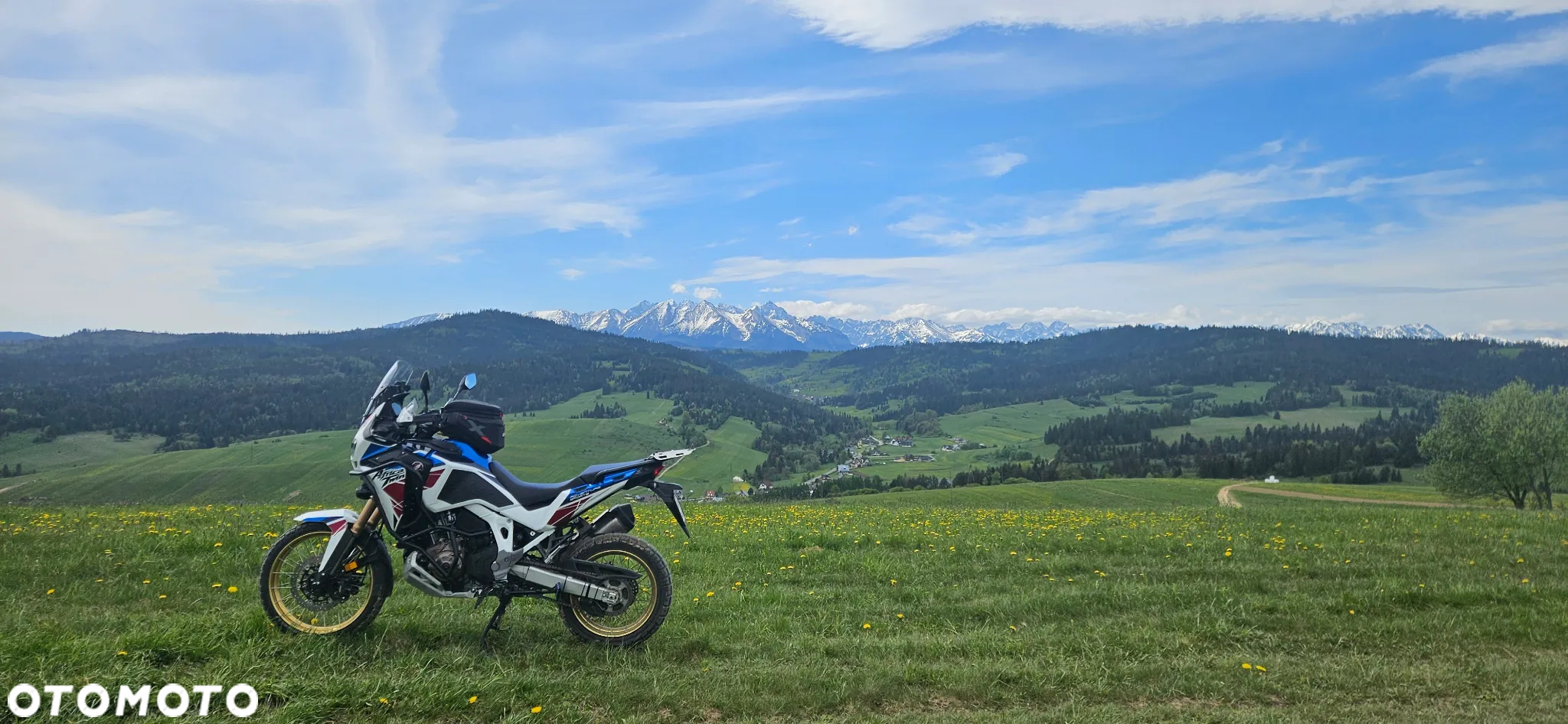 Honda CRF