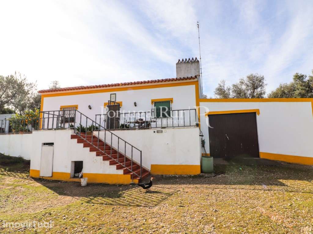 Quinta de 2 ha com moradia T3 em Vila Viçosa - Grande imagem: 3/51