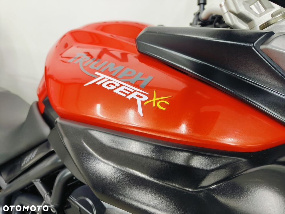 Triumph Tiger - 8