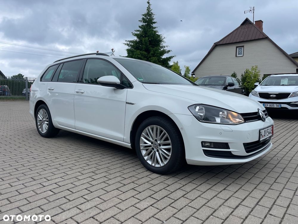 Volkswagen Golf 1.6 TDI BlueMotion Technology Cup - 7