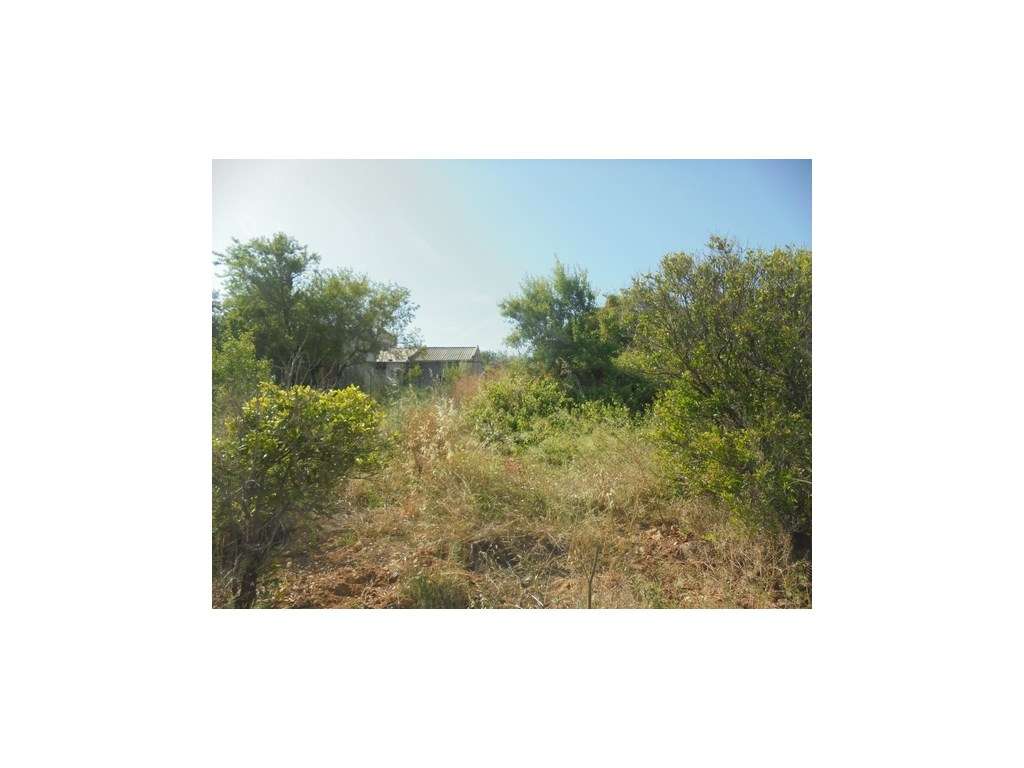 Terreno Rústico com armazém com 36 m2 em Moncarapacho, Olhão, Algarve - Grande imagem: 5/28