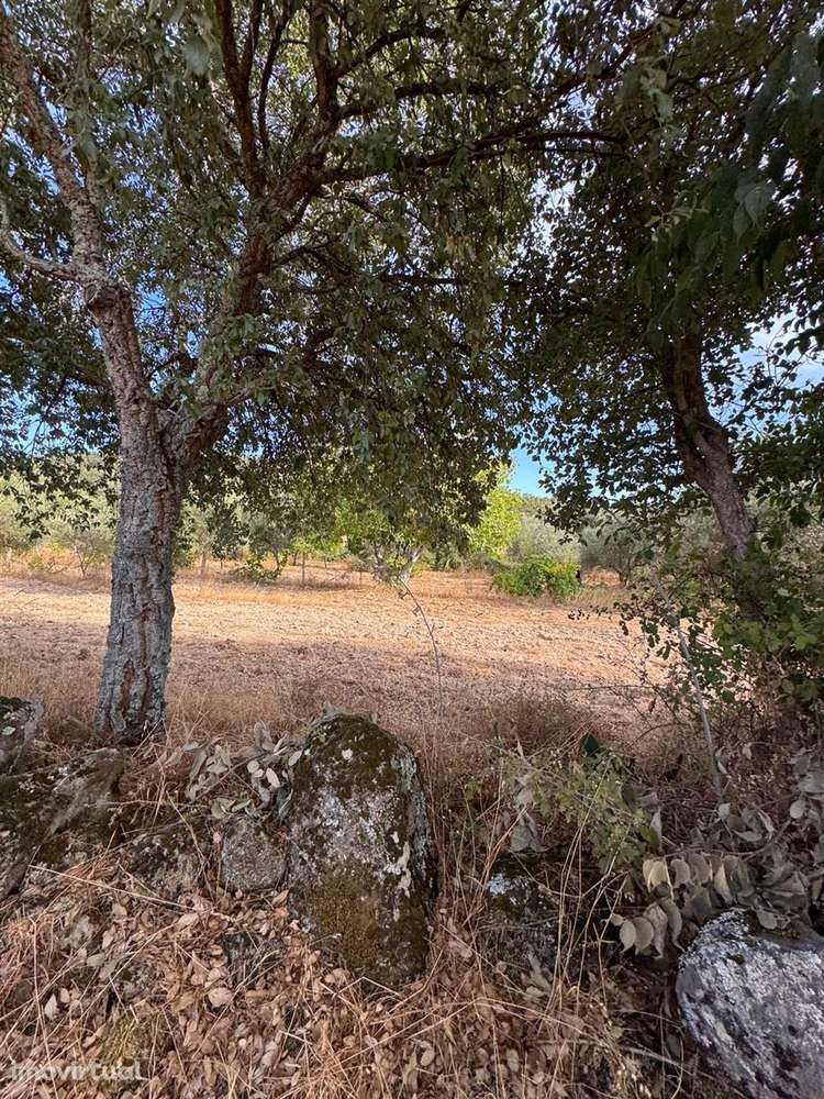 Quinta - Grande imagem: 4/14