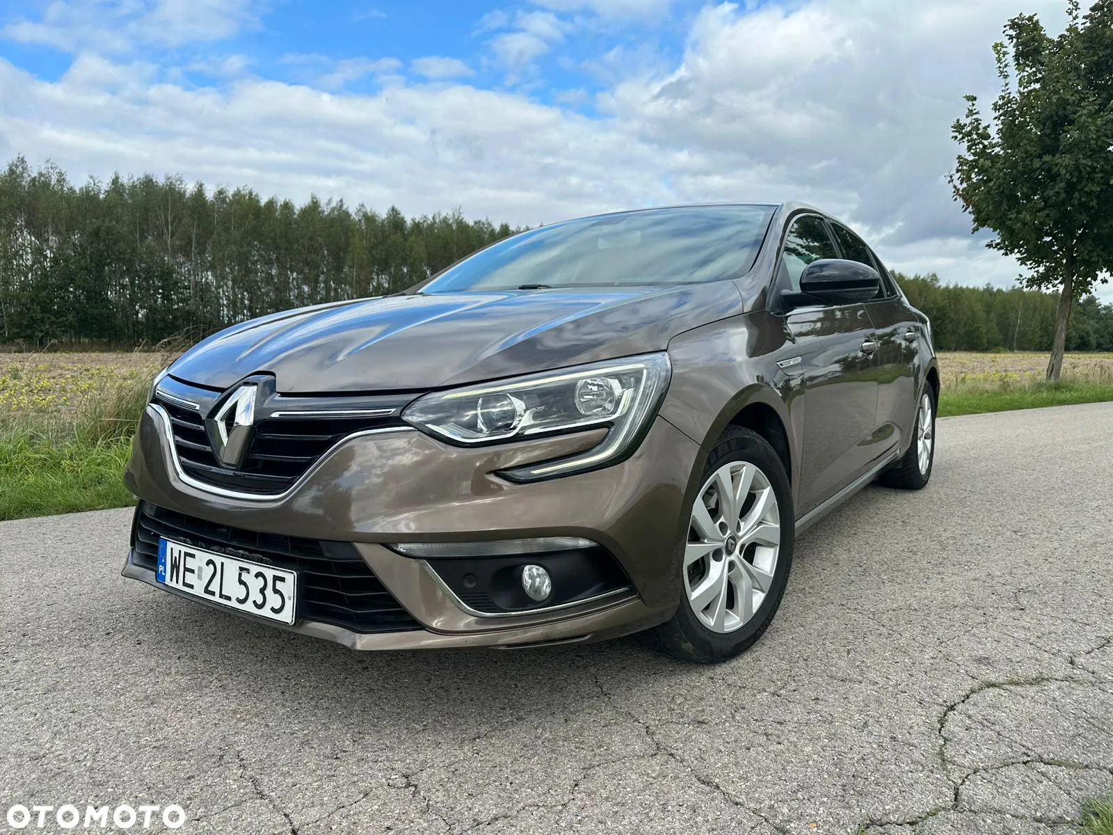 Renault Megane 1.5 Blue dCi Limited - 9