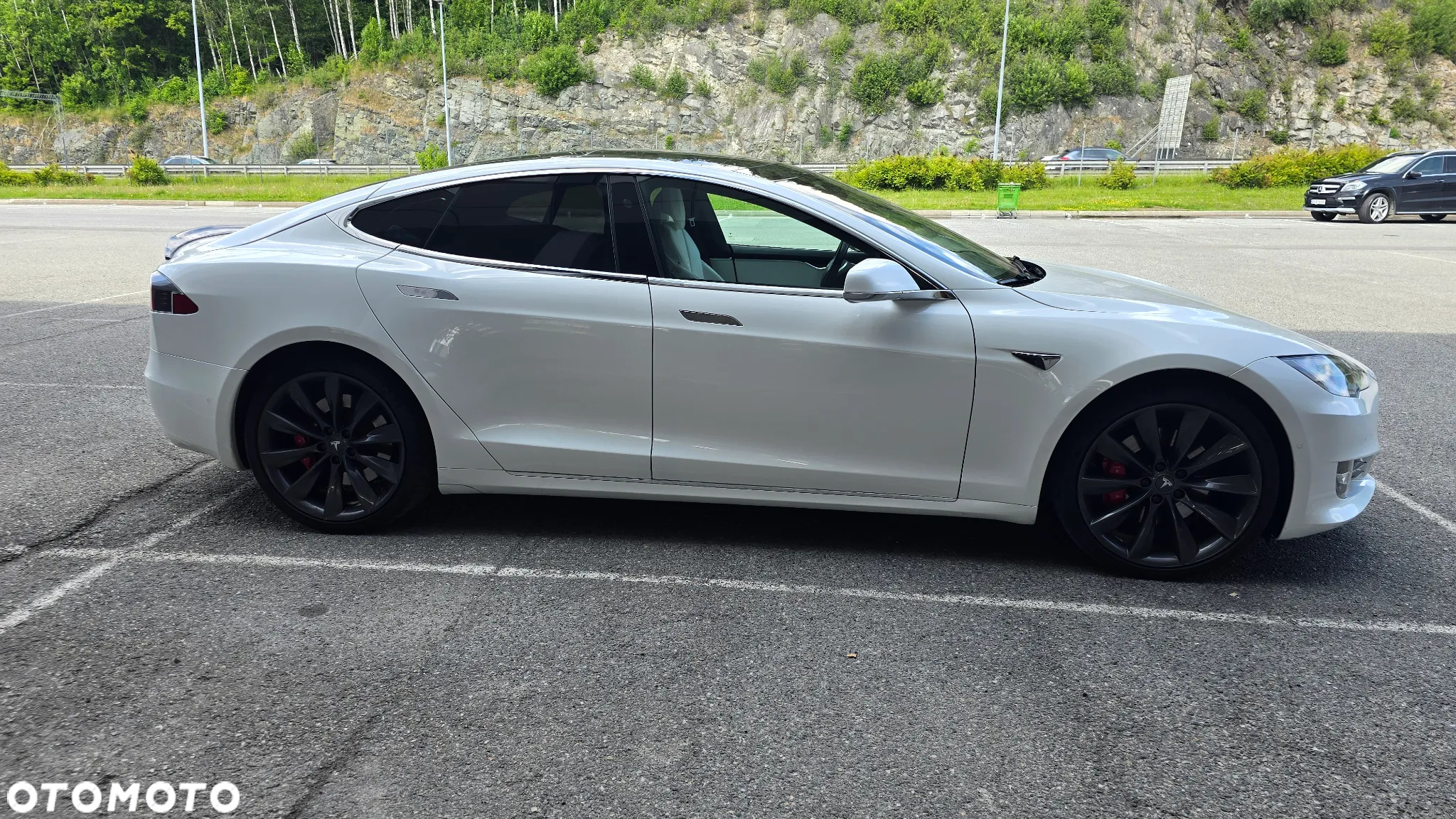 Tesla Model S Performance - 5