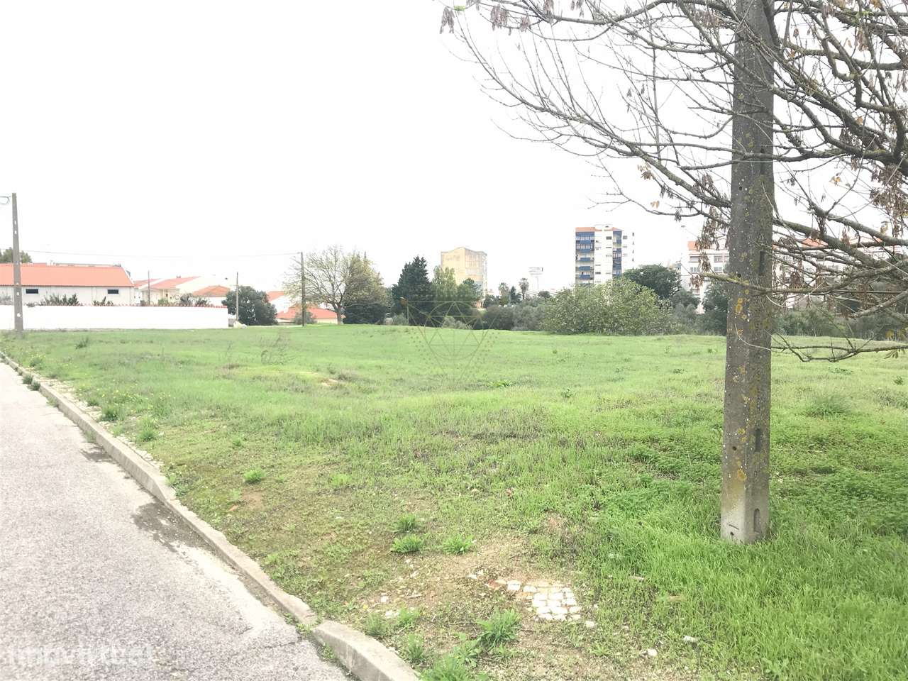 Terreno Para Construção  Venda em Benavente,Benavente - Grande imagem: 3/4