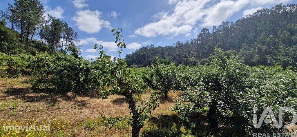 Terreno em Azueira e Sobral da Abelheira de 7812,00 m2 - Grande imagem: 5/21