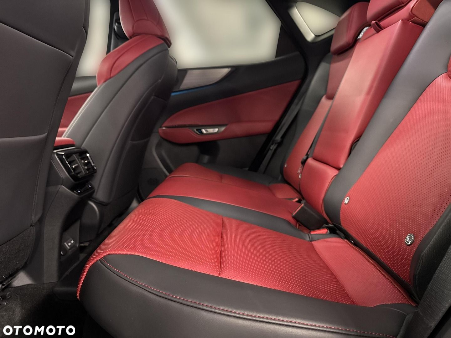 Lexus NX - 10