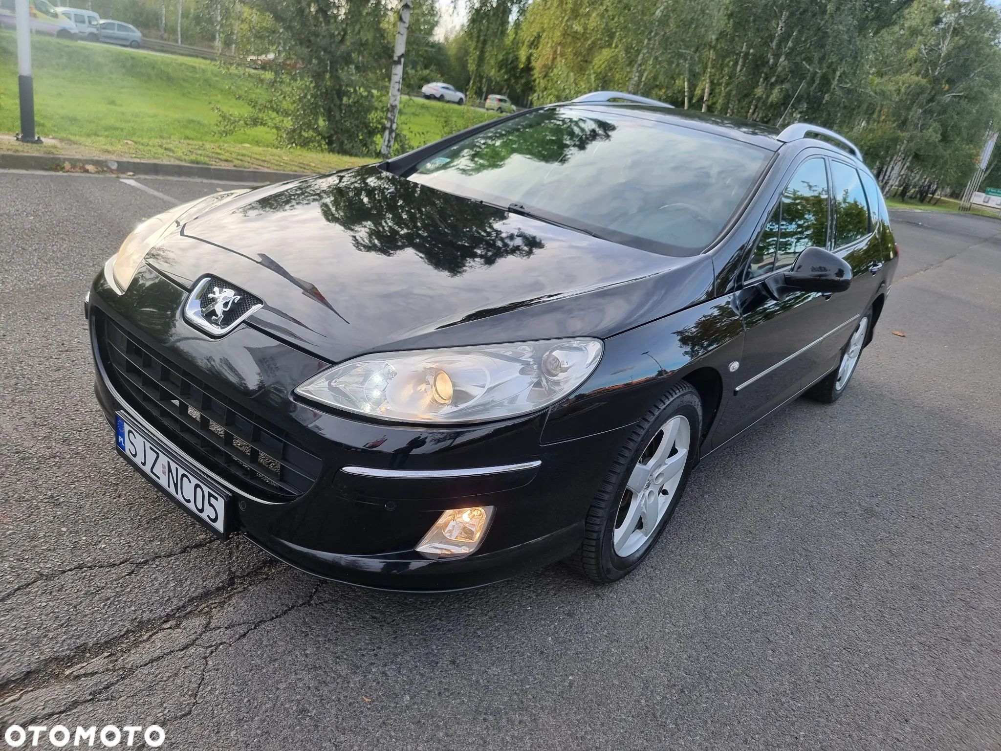 Peugeot 407 - 1
