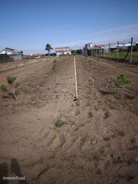 Terreno Urbano em Arada - Grande imagem: 3/4