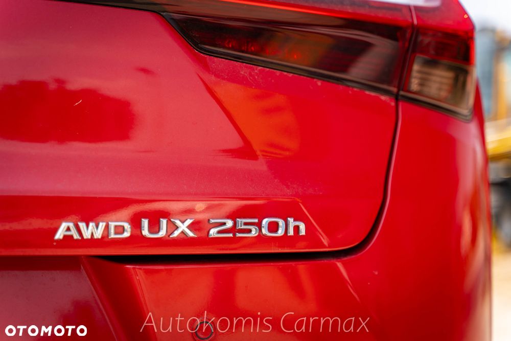 Lexus UX 250h GPF F Sport AWD - 14