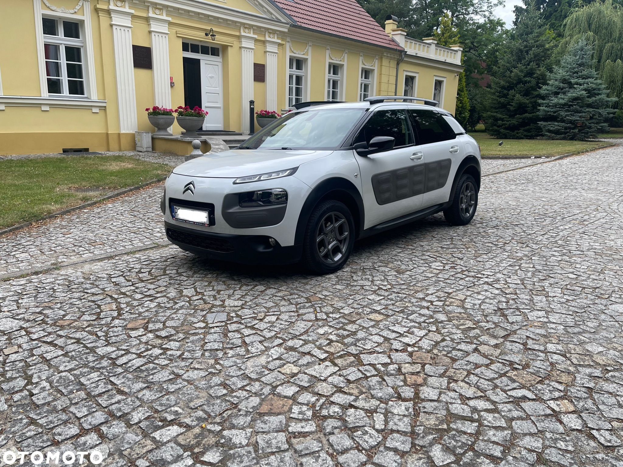 Citroën C4 Cactus 1.2 PureTech Feel Elite EU6 - 1