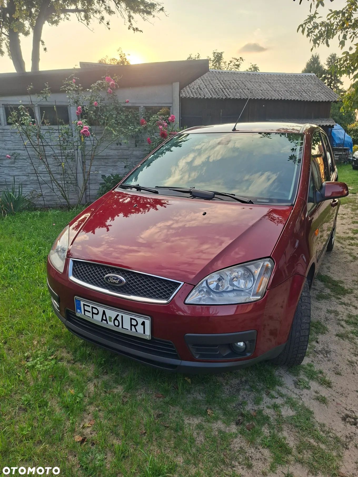 Ford Focus C-Max - 1