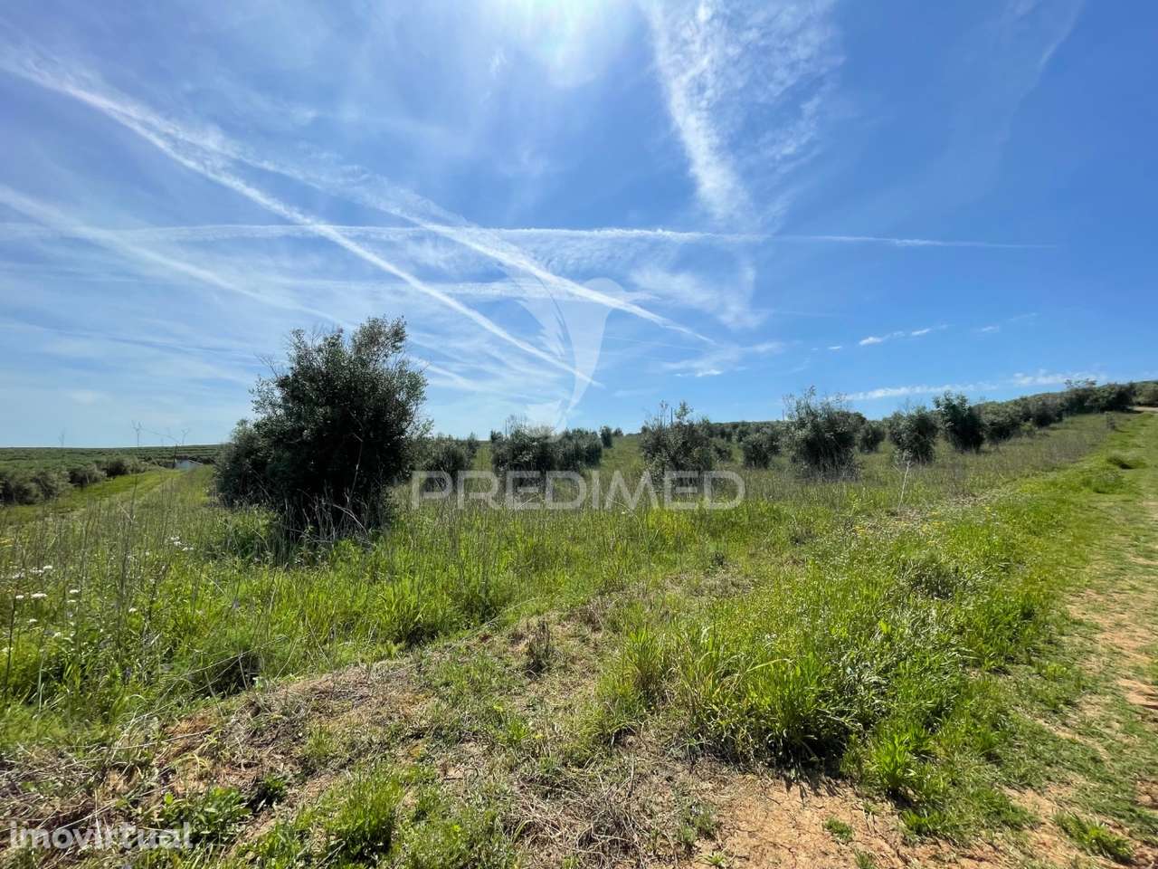 Terreno perto da Vila de Avis - Grande imagem: 5/14