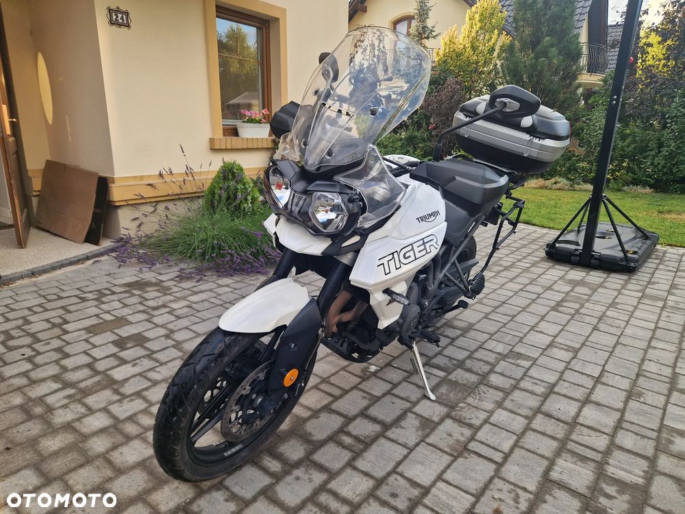 Triumph Tiger - 1