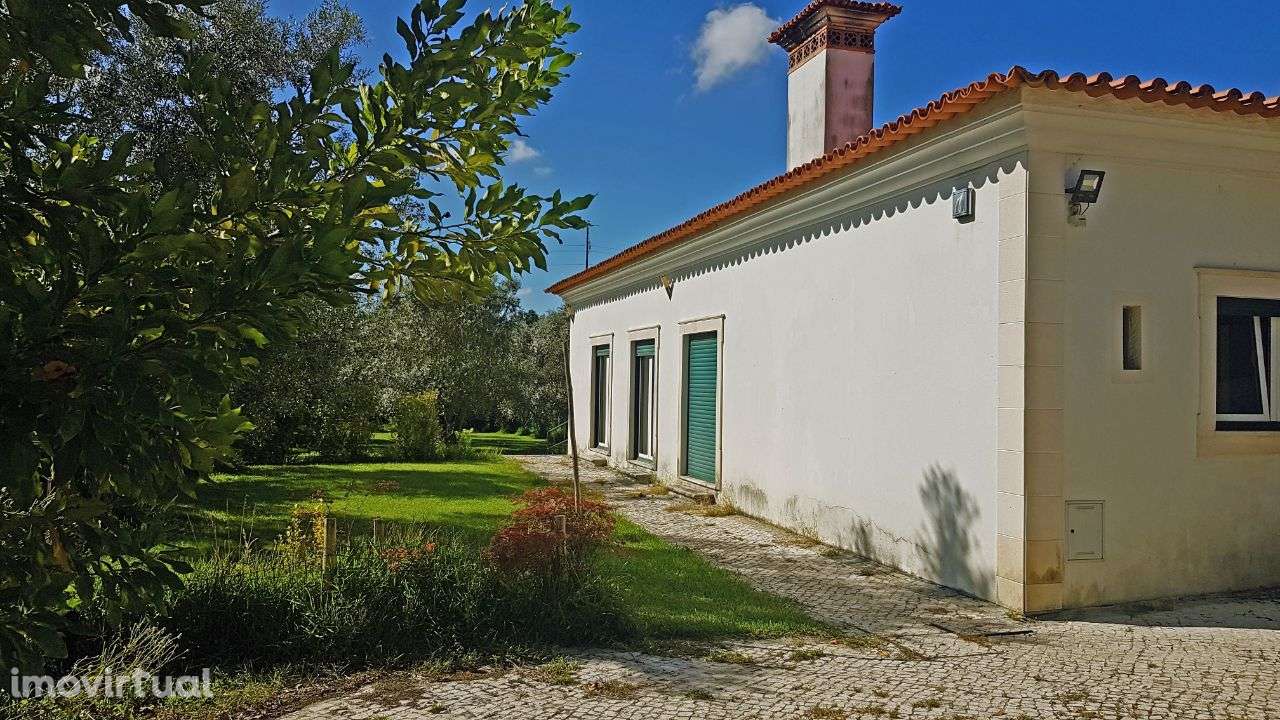 Quintinha com Mata secular - Grande imagem: 4/44