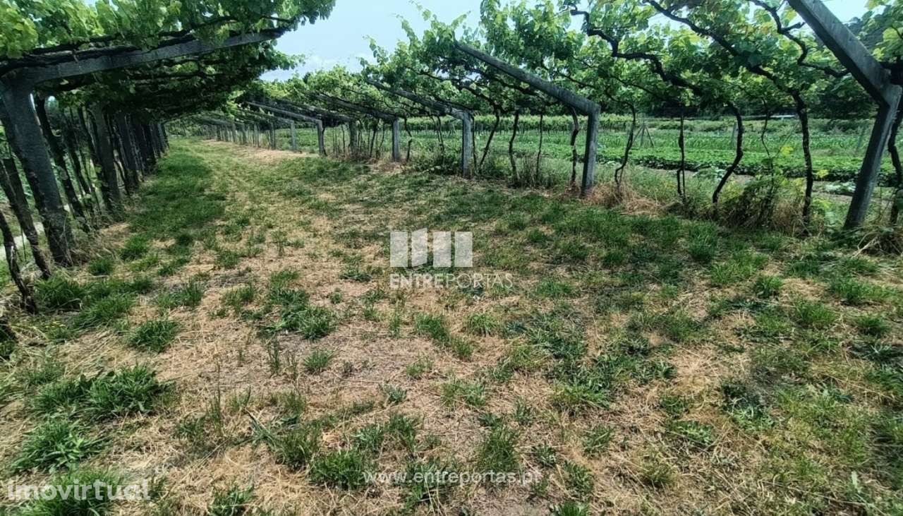 Venda de terreno para construção, Vitorino das Donas, Ponte de Lima - Grande imagem: 5/30