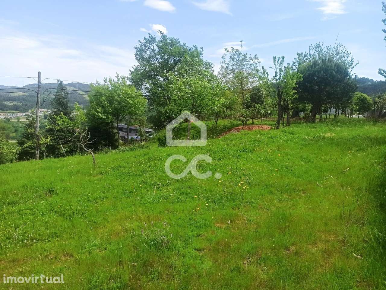 Terreno em Mesão Frio - Grande imagem: 3/18