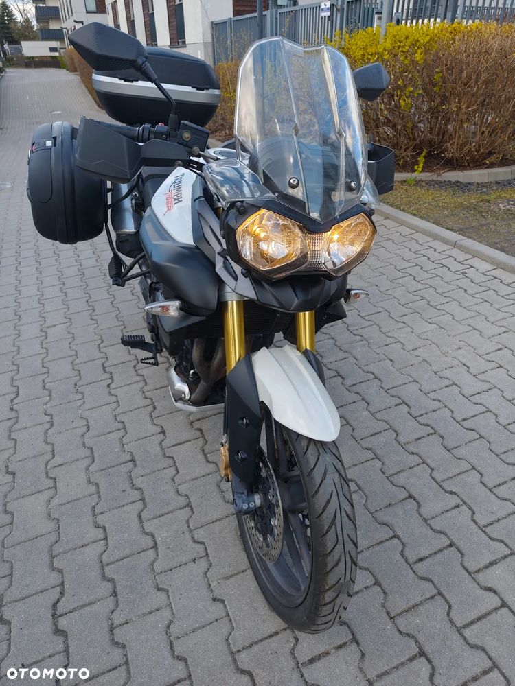 Triumph Tiger - 8