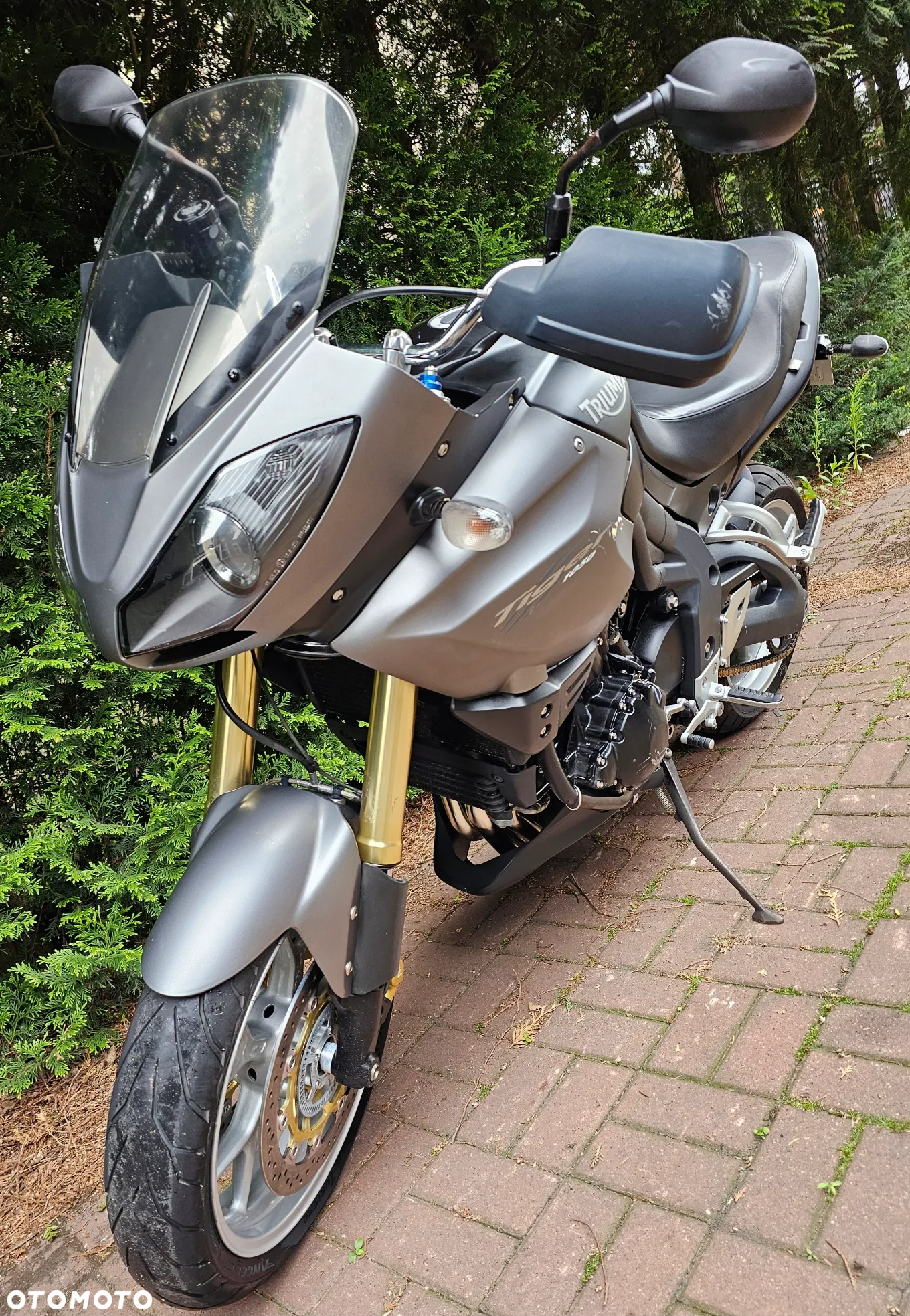 Triumph Tiger - 16