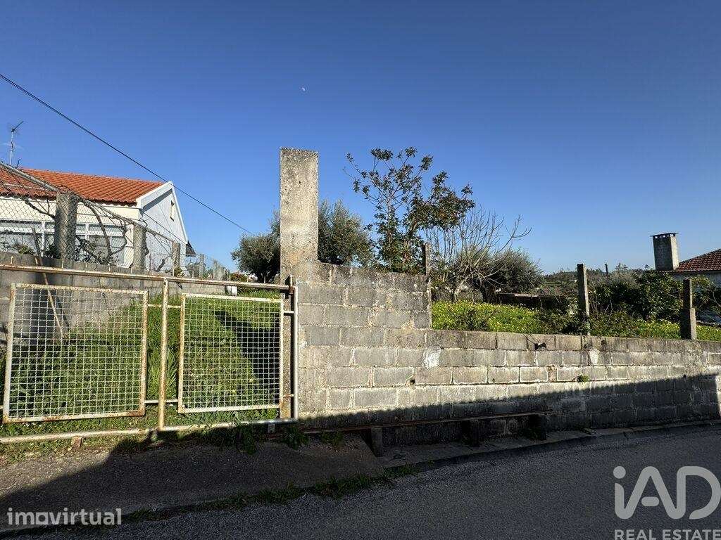 Terreno para construção em Serra e Junceira - Grande imagem: 3/6