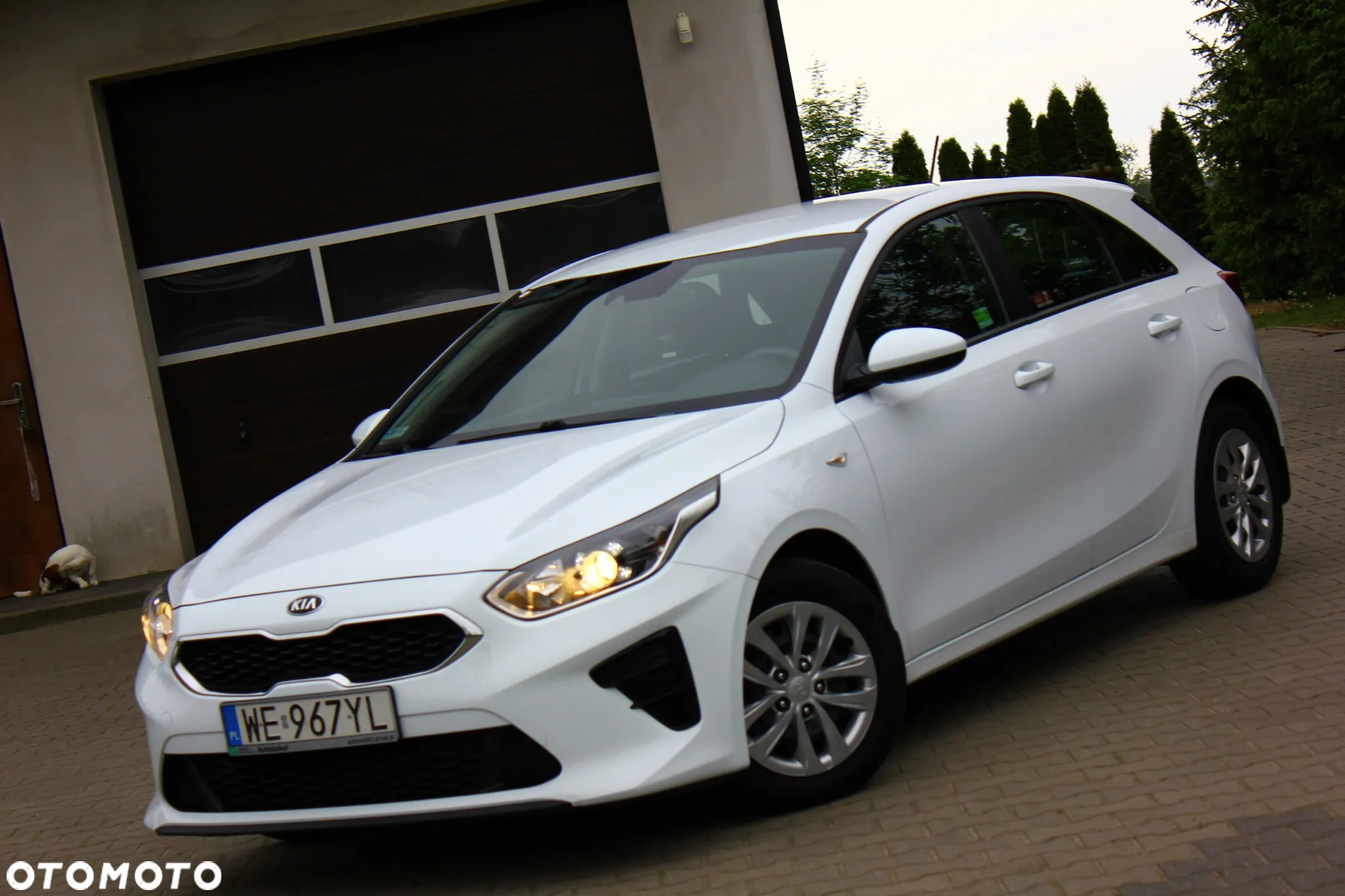 Kia Ceed 1.6 CRDi SCR S - 12