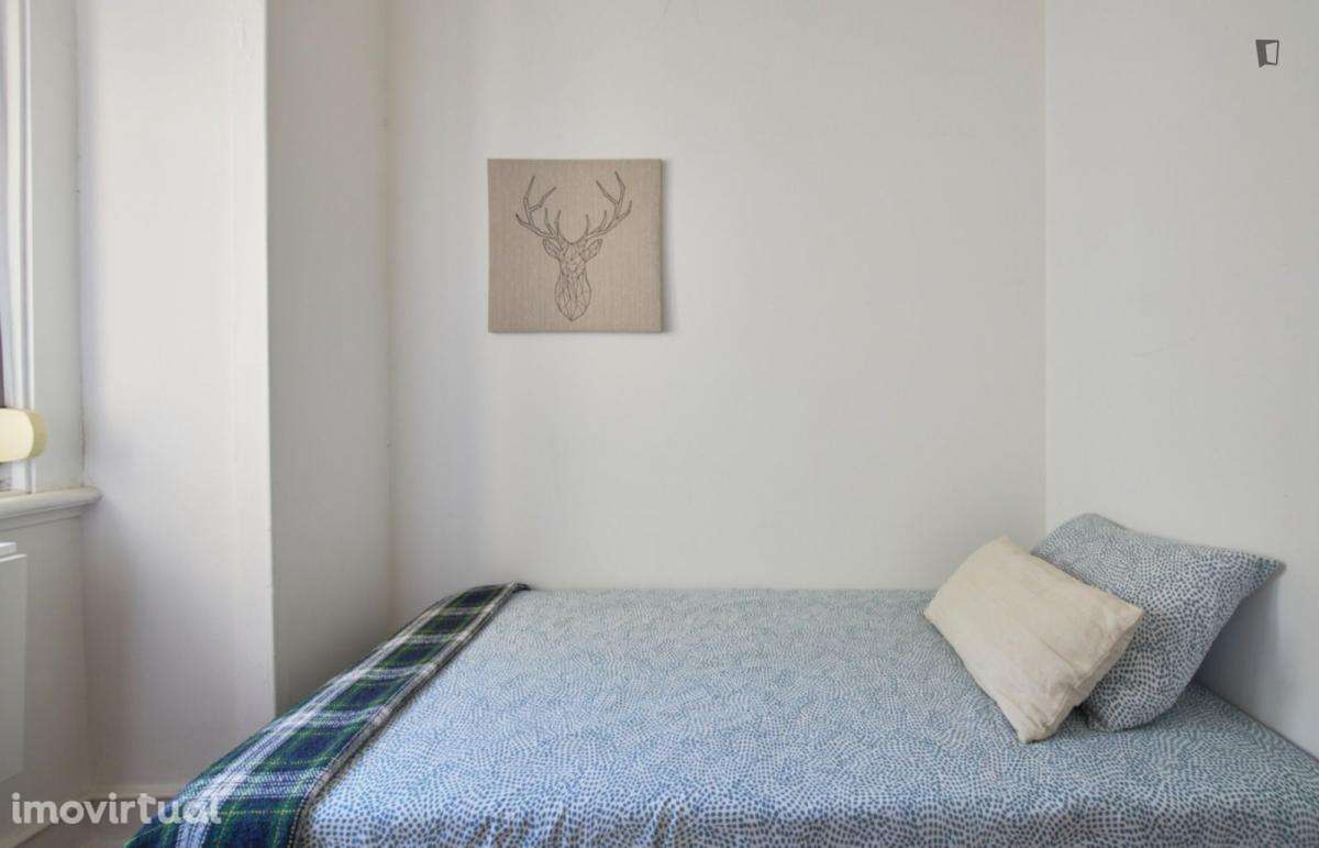 Quarto - localizado em Entrecampos Lisbon - Grande imagem: 3/13