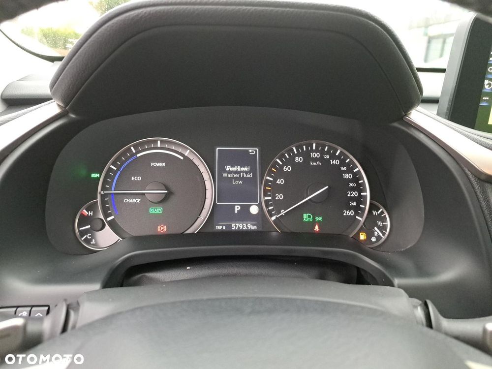 Lexus RX 450h F-Impression - 11