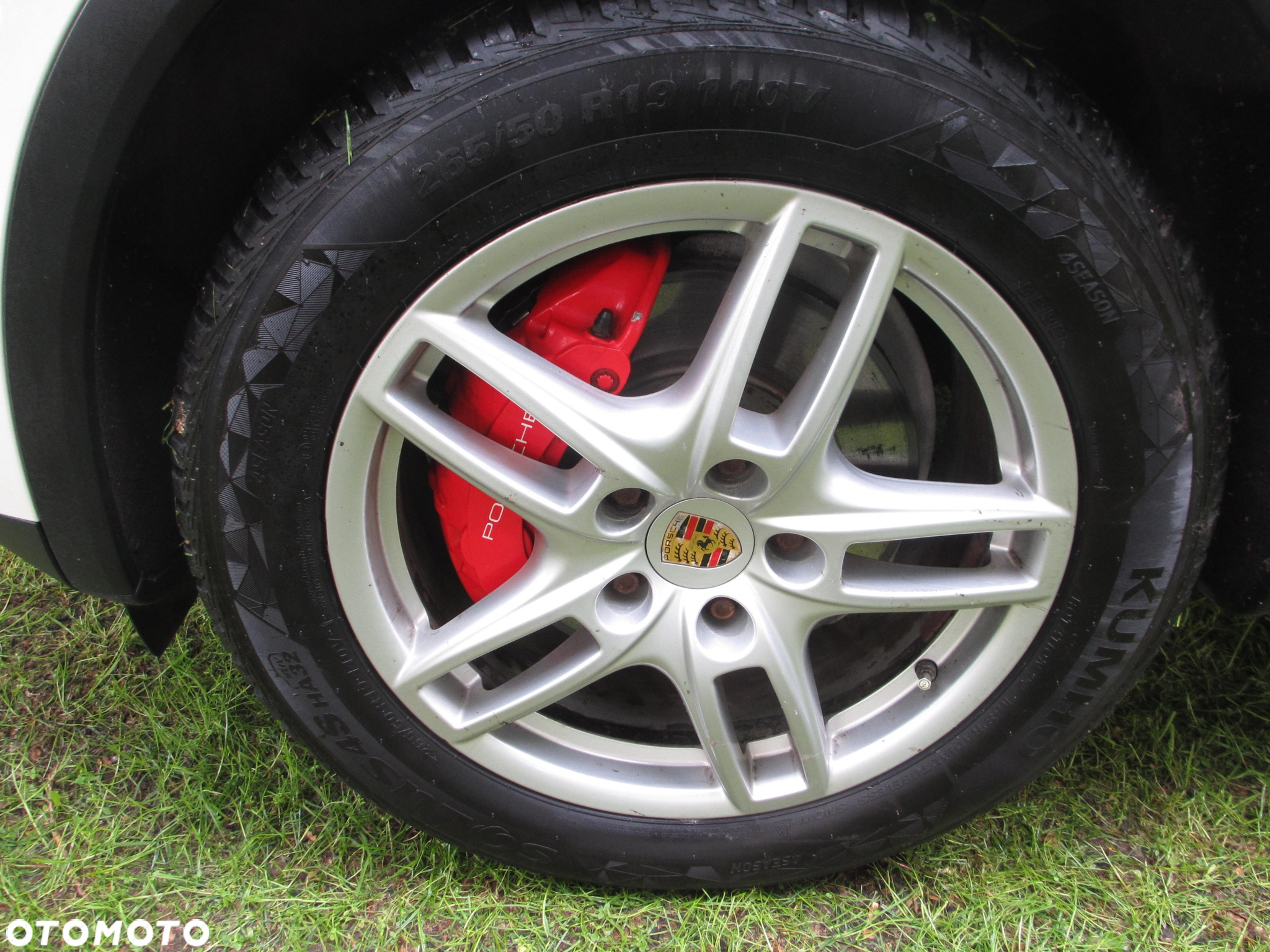 Porsche Cayenne S Hybrid Tiptronic S - 17